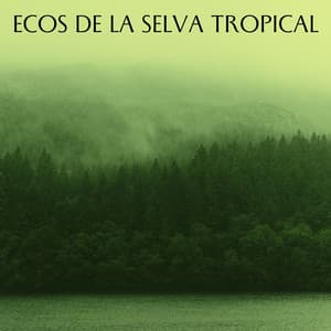 Ecos De La Selva Tropical - Sonidos relajantes de la selva tropical