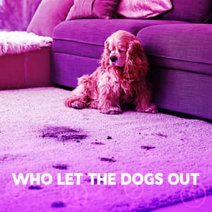 Who Let The Dogs Out - Nikitovich