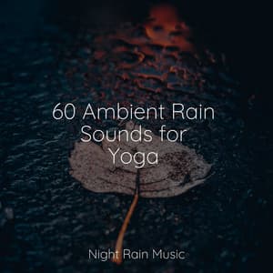 60 Ambient Rain Sounds for Yoga - Yoga Trainer