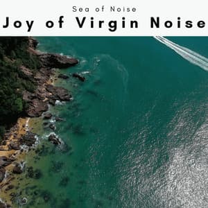 A Joy of Virgin Noise - Sea of Noise