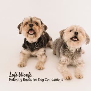 Lofi Woofs: Relaxing Beats for Dog Companions - ChillHop Beats
