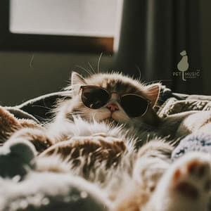 Furlaxation - Pet Music Academy