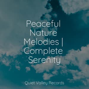 Peaceful Nature Melodies | Complete Serenity - Wave Sound Group