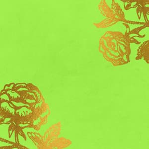 Feelings for Comfortable Night - Coffee Table Jazz