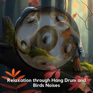 Relaxation through Hang Drum and Birds Noises - Relaxing Hang Drum Nature