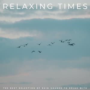 Relaxing Times: The Best Selection Of Rain Sounds To Relax With - Music for Calming Dogs