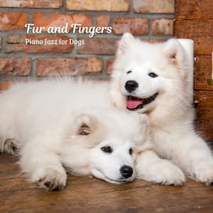 Fur and Fingers: Piano Jazz for Dogs - Classy Piano Jazz Background