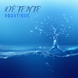 Détente aquatique - Anghashi