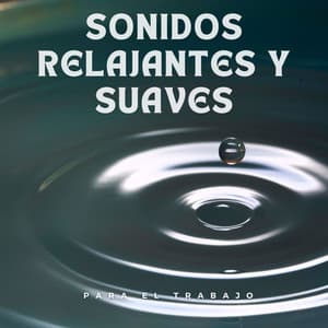Sonidos Relajantes Y Suaves Para El Trabajo - Novela para piano