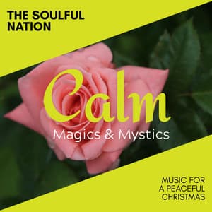 The Soulful Nation - Music for a Peaceful Christmas - Relaxing Minds