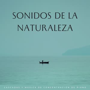 Sonidos De La Naturaleza: Cascadas Y Música De Concentración De Piano - Aguas Naturales