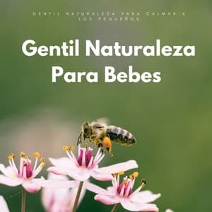 Calmar A Los Pequeños: Gentil Naturaleza E Insectos Para Bebes - Fondos de sonidos de la naturaleza
