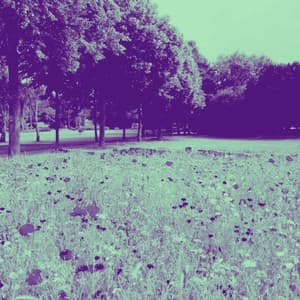 Spirited Ambiance for Rain Time - Musica para Hoteles De Lujo