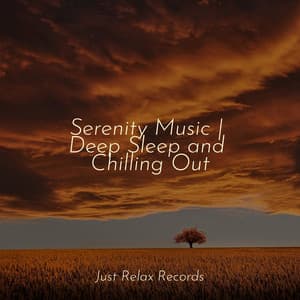 Serenity Music | Deep Sleep and Chilling Out - Thunderstorm Sound Bank