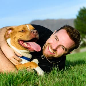 Dreamy Dog Harmony: The Comforting Bliss of Chill Music - Ambient Music Bliss