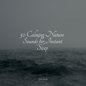 50 Calming Nature Sounds for Instant Sleep - Nature Sounds Collection