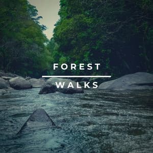 Forest Walks - River Sounds ASMR