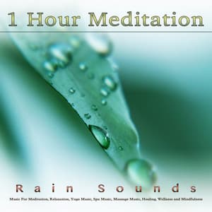 1 Hour Meditation: Music and Rain Sounds For Meditation, Relaxation, Yoga Music, Spa Music, Massage Music, Healing, Wellness and Mindfulness - Meditation Playlist