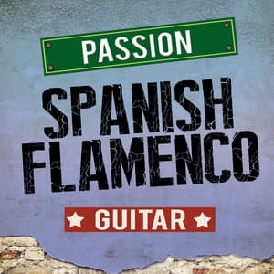 Passion: Spanish Flamenco Guitar - Salsa All Stars