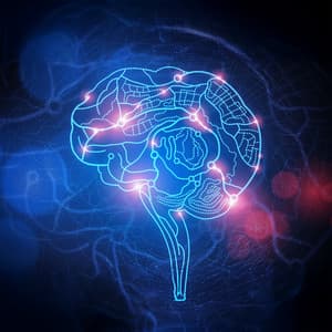 Daily Gut-Brain Axis Support - Hz Regenerates Tissues