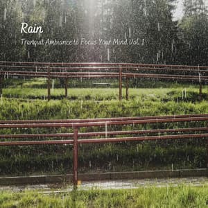 Rain: Tranquil Ambiance to Focus Your Mind Vol. 1 - Nature Label
