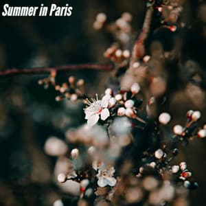 Summer in Paris - Música para Centros Comerciales