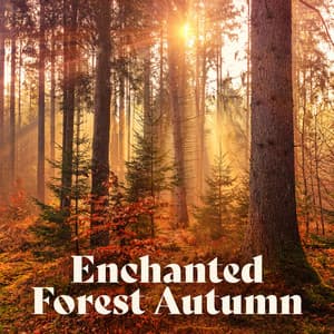 Enchanted Forest Autumn: Fantasy Ambience Music for Study, Read and Relax - Soft Dream Zone