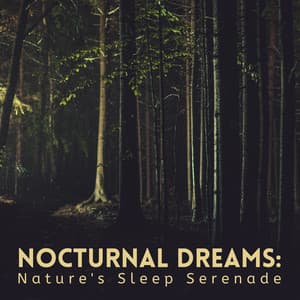 Nocturnal Dreams: Nature's Sleep Serenade - The Nature Project