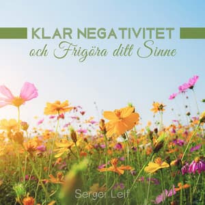 Klar Negativitet och Frigöra ditt Sinne - Sergei Leif