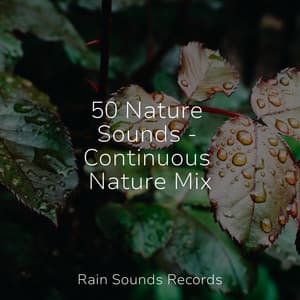 50 Nature Sounds - Continuous Nature Mix - Relaxing Music