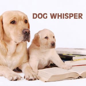Dog Whisper: Relaxation Music and Calming Music for Dog, Whisperer in Wildlife - Neuromancer