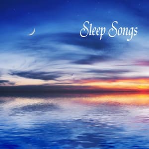 Sleep Songs: 101 Sleep Songs, Relaxation Music and Sleeping Sounds to Reduce Stress Level, Relaxing Sounds for Wellness, Positive Thinking and Relax, Healing Music for Meditation, Massage, Yoga, New Age Spirituality and Sleep Music Lullabies for all - Sleep Songs 101