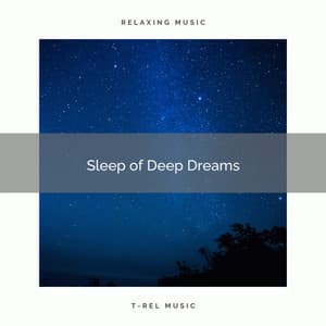 Sleep of Deep Dreams - Deep REM Sleep