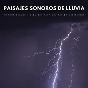 Paisajes Sonoros De Lluvia: Vientos Suaves Y Llovizna Para Una Rápida Meditación - Efectos especiales de lluvia del bosque