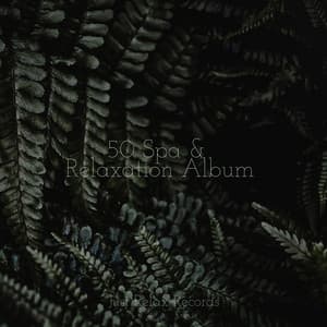 50 Spa & Relaxation Album - Meditation Relaxation Club
