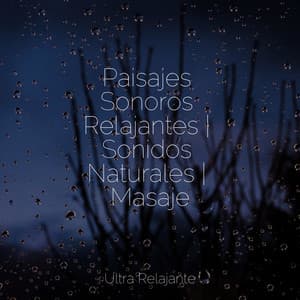 Paisajes Sonoros Relajantes | Sonidos Naturales | Masaje - Música para Relaxar Maestro