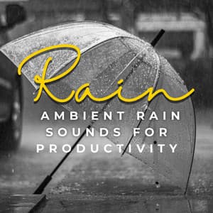Raindrop Productivity: Ambient Rain Sounds for Enhanced Focus at Work - Acoustic Study Music Beats