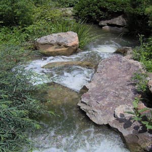 Wave Sounds, Vol 3 - Sonidos de la Naturaleza Rudio Blanco Para Bebes