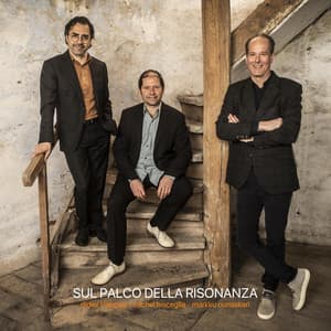 Sul palco della risonanza - Michel Bisceglia