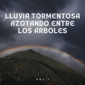 Lluvia Tormentosa Azotando Entre Los Árboles Vol. 1 - Tormentas eléctricas y sonidos de lluvia