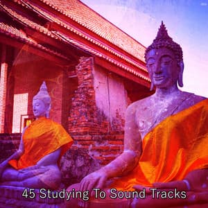 45 Studying To Sound Tracks - Meditation Focus