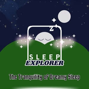 The Tranquility of Dreamy Sleep - Sleep Explorer