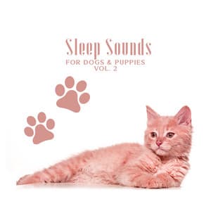 Sleep Sounds for Dogs & Puppies Vol. 2: Soothing Music to Help Your Puppy Go to Sleep at Night, Relaxation Bedtime Songs & Calm Sleep Lullabies for Dogs - Pet Care Club