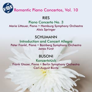 Romantic Piano Concertos, Vol. 10 - Hamburg Symphony Orchestra
