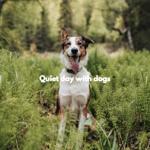 Quiet day with dogs - Relaxing Piano Music Cool