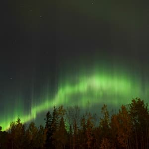 49 Melodic Stories: Endless Ambient Drift - White Noise Therapy