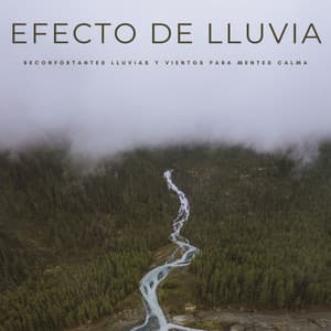 Efecto De Lluvia: Reconfortantes Lluvias y Vientos Para Mentes Calmas - Música Para La Relajación