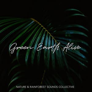 Green Earth Alive - Nature & Rainforest Sounds Collective