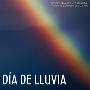 Día De Lluvia: Acogedor Ambiente Binaural Para El Confort De Su Gato - Sat-Chit