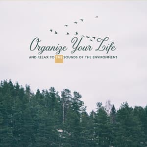 Organize Your Life and Relax to the Sounds of the Environment - Mystic Background Music Masters